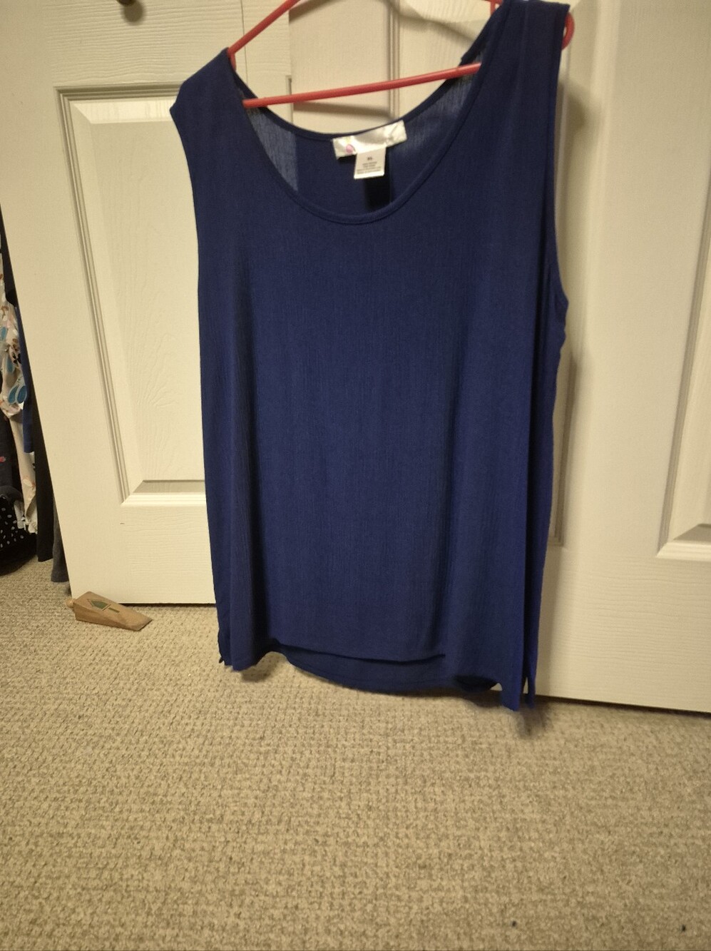 Sleeveless Scoop Neck Top - Blue